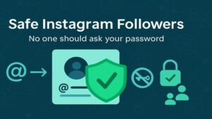 Read more about the article Safe Instagram Followers in India: Why No One Should Ask Your Password